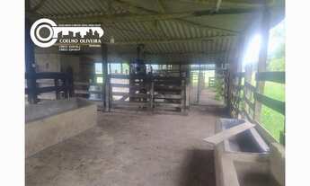 Imagem 4: Sitio a venda em Sete barras