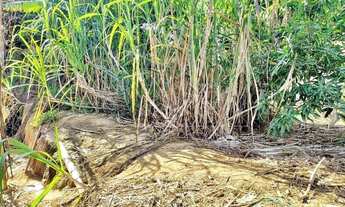 Imagem 5: SOROCABA - Terreno Padrão - Vila Barão