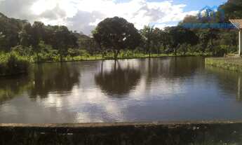 Imagem 3: Itajuípe - Fazenda