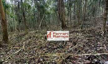 Imagem: Terreno à venda, 20000 m² por R$ 1.700.000,00