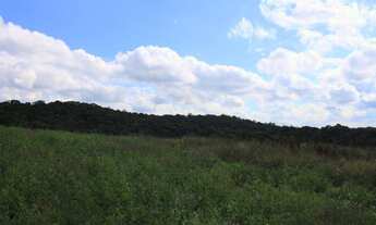 Imagem 2: Terreno em Cotia, próximo ao centro de Caucaia
