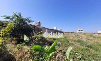 Imagem 2: Terreno à venda, 960 m² por R$ 720.000,00 - Lagoinha - Uberlândia/MG