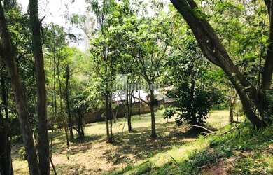 Imagem 5: ÓTIMO TERRENO NO COND PALOS VERDES! 1000m² IMPERDÍVEL!