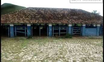 Imagem 2: FAZENDÃO 220 ALQUEIRES PARA LEITE/CORTE - CRUZEIRO - SP