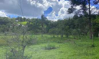 Imagem 3: Chácara com 2 dormitórios à venda, 7500 m² por R$ 450.000,00 - Agudo dos Frias - Bragança