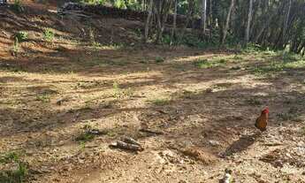 Imagem 3: Oportunidade única. 20.000m2 348.520