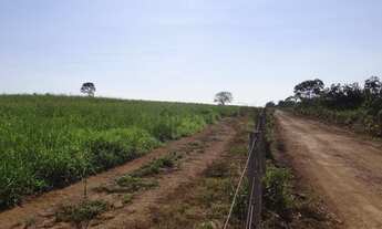 Imagem 7: Fazenda em Chapada dos Guimarães/MT Ref.:FA0120