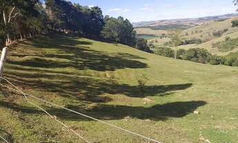 Imagem 4: Fazenda/Sítio/Chácara para venda possui 5000 metros quadrados com 3 quartos