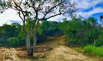 Imagem 6: SG aquitetura e imóveis. Excelentes lotes em Pessegueiros. 15,9km do centro, 20 min