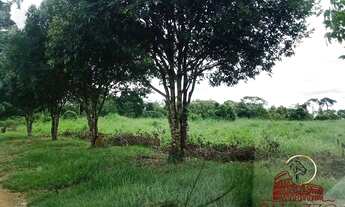 Imagem 2: CHÁCARA A VENDA COM 9.1142 NOVE HECTARES NA CIDADE DE RIO CRESPO RONDONIA