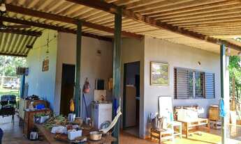 Imagem 5: Chácara meio hectares 25 km de Campo Grande MS