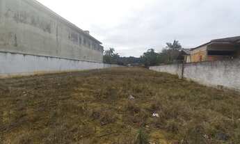 Imagem 2: JOINVILLE - Terreno Padrão - Vila Nova