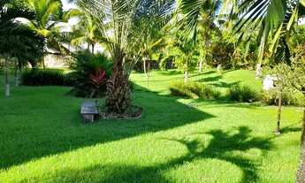 Imagem 1: Encontro das águas