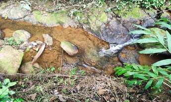 Imagem 7: Fazenda em Marechal Floriano - ES com 6 alqueires de terra