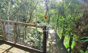 Imagem 5: Sítio com córrego e açude em Morro Reuter, na Serra Gaúcha