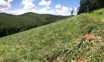 Imagem 6: Terreno lindo perto do centro !