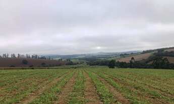 Imagem 7: VENDO FAZENDA REGIAO DE POUSO ALEGRE (6178