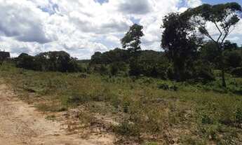 Imagem 4: Lote/Terreno para venda possui 13.500 metros quadrados