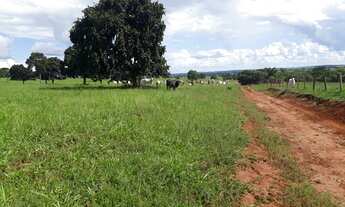 Imagem 6: Fazenda Minas Gerais - Iturama- Coisa linda demais veja o video 44 alqueirao