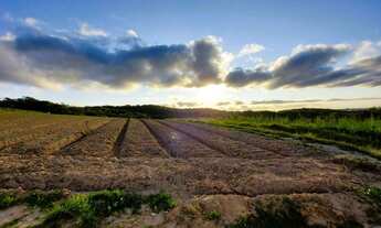 Imagem: O/26, Lote/Terreno aqui em Cotia-SP