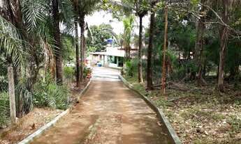 Imagem: Fazenda/Sítio/Chácara para venda tem 286