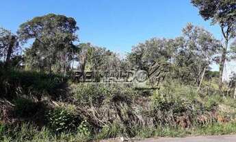 Imagem 4: Terreno à venda, 9076 m² por R$ 2.500.000,00 - Morada dos Pássaros - Itatiba/SP