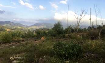 Imagem 2: KA - VOCÊ FELIZ NO SEU TERRENO