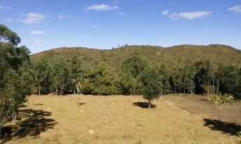 Imagem 2: Linda Chácara 82.340 m2 Municipio Vianopolis -GO