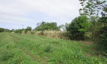 Imagem 7: Imobiliária Fabio Paes - Sítio a venda com 60.000m², terra rica para plantação