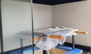 Imagem 5: Apartamento à venda, Vila Santa Catarina, São Paulo, SP