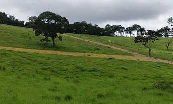 Imagem 5: Vendo terreno em nazare paulista - São Paulo - SP