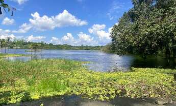 Imagem 5: Sítio/Chácara para venda com 8.000m² ao preço de lotes no Tarumã - Aproveite Oportunidade