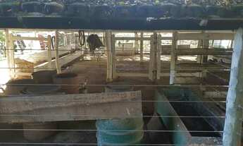 Imagem 6: Excelente chácara de 26 hectares a 15 km de Planaltina DF!