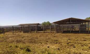 Imagem 7: Fazenda Perto De Formosa - 20 Alqueires - Formada Com Pastagem - Plana - m. O. n. E