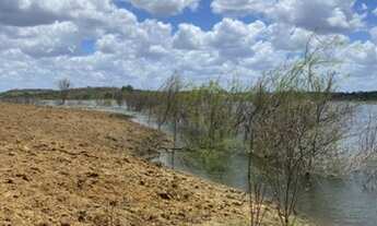 Imagem 2: Ótima Fazenda top com 98 hectares na região de São Paulo do Potengi
