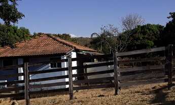 Imagem: Fazenda a venda em Uruana - GO