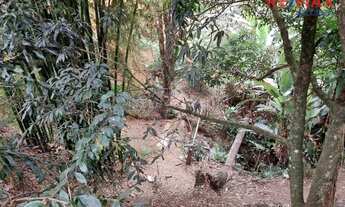 Imagem 6: Sítio urbano com 2 dormitórios à venda, 6401 m² por R$ 1.408.220 - Sagrado Coração de Je