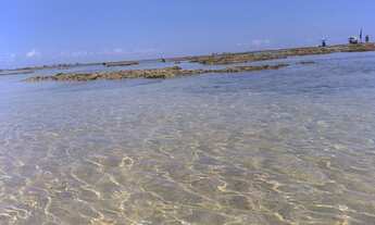 Imagem 2: Apts em Porto de Galinhas pertinho do mar