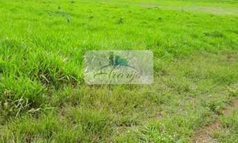 Imagem 6: Pedro Afonso - Fazenda - Rural