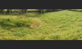 Imagem: Florianopolis - Terreno Padrão - Vargem