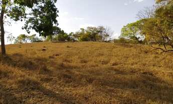Imagem 4: Ótima terra em Aragoiânia..!!