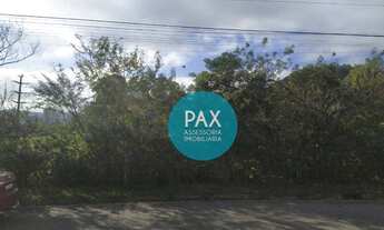 Imagem 5: Terreno à venda, 539 m² - Pedra Branca - Palhoça/SC