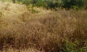 Imagem 6: Terreno em Condomínio para Venda - 153