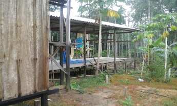 Imagem 7: Sítio KM 19 de Novo Ayrão, 20 minutos do Município de Manacapuru