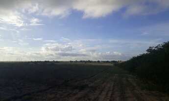 Imagem 4: Linda Fazenda com 25 hectares na região de boa saúde