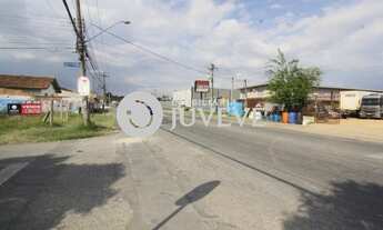 Imagem 6: IMOBILIARIA JUVEVE VENDE COMERCIAL TERRENO ZR-2 ESQUINA UBERABA COMERCIAL RUA JOSE HAUER