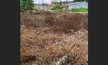 Imagem 5: Terreno no barrio Sim