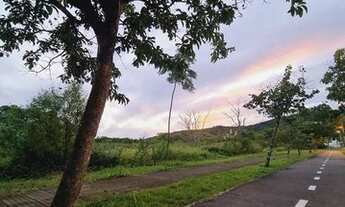 Imagem 5: Terreno Jurerê Internacional