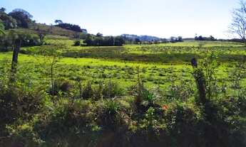 Imagem 6: Chácara com 1 dormitório à venda, 45000 m² por R$ 450.000,00 - Fazenda Leão - Sapiranga/RS