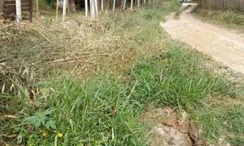 Imagem 6: Vendo terreno na Serra da Cantareira